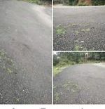 पक्कि सडकले दुबो छेकेन